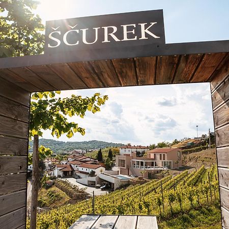 도브로보 Posestvo Scurek Wine B&B 외부 사진
