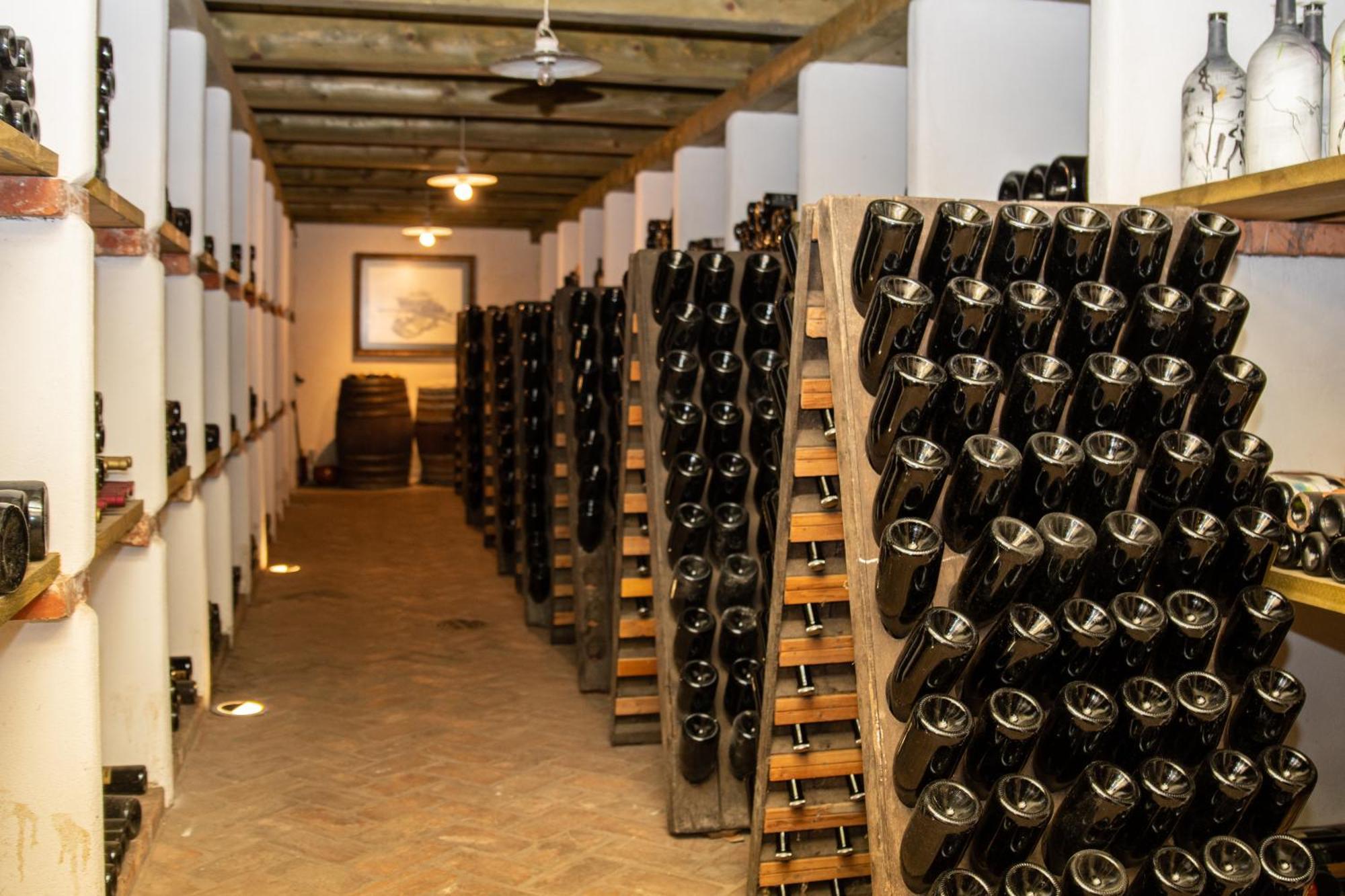 도브로보 Posestvo Scurek Wine B&B 외부 사진