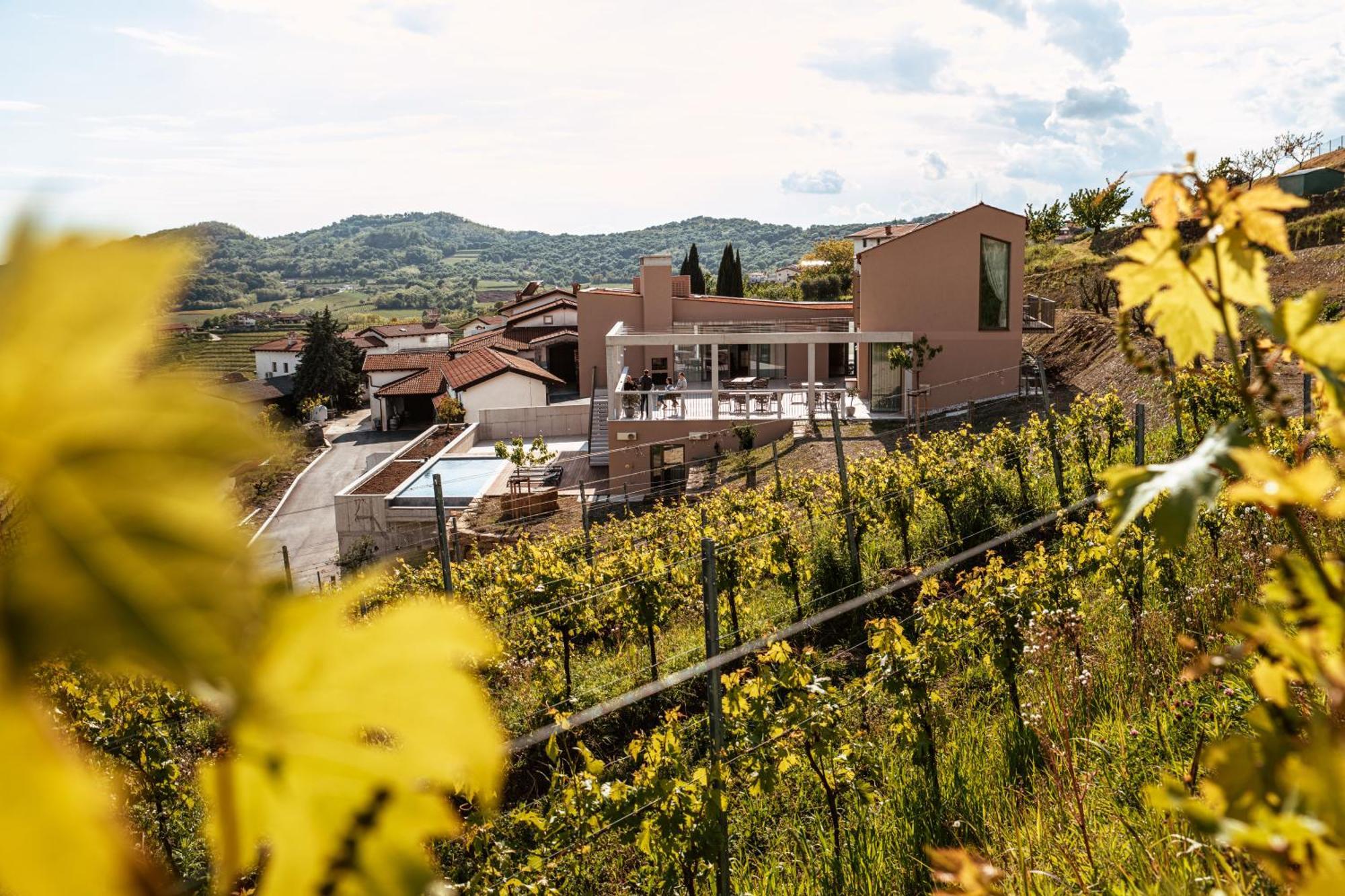 도브로보 Posestvo Scurek Wine B&B 외부 사진